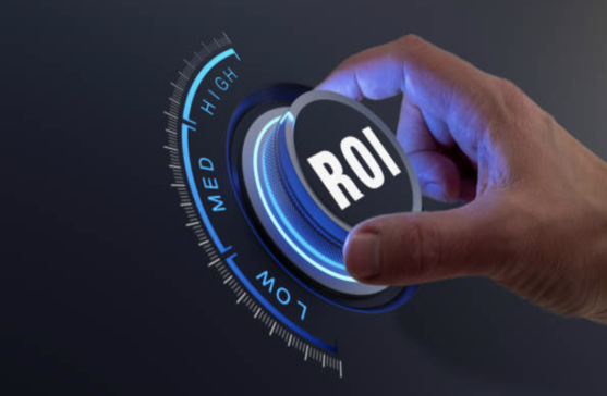 The ROI of Professional Web Development